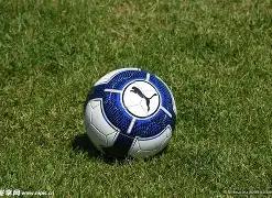 发布共同公,网球赛事延,期至,好博体育官方,好博体育在线官网,好博体育线上,好博体育APP