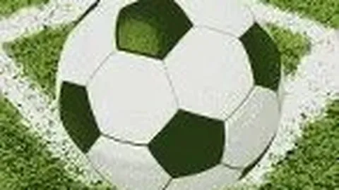 林志颖分享46岁喜得双胞胎，育儿经引关注