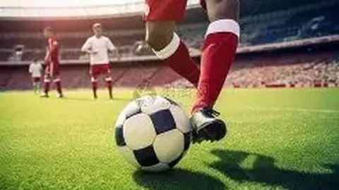 《洛杉矶FC力挽狂澜！38岁门神洛里续约至2026，额外一年留队权待续辉煌》